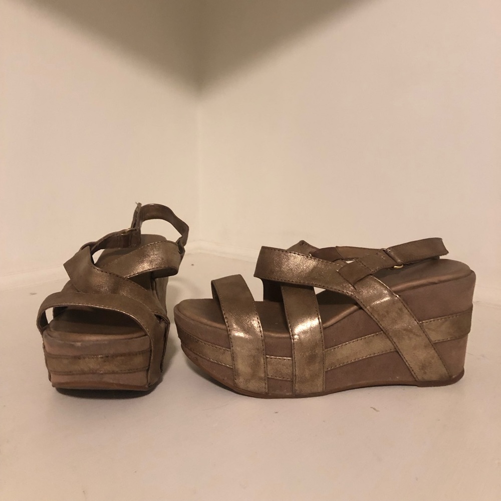 Antelope wedges gold